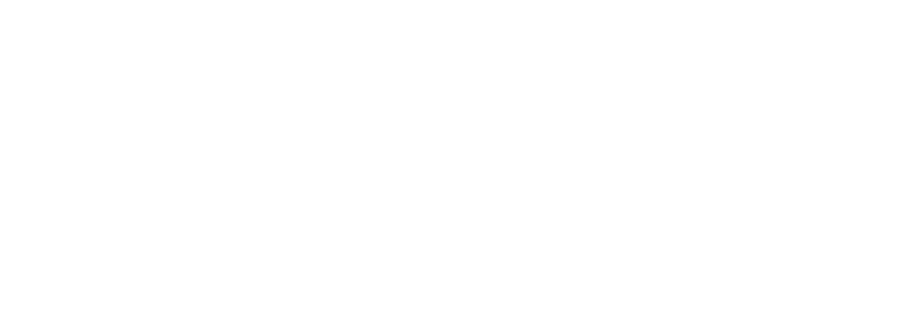 NexBojun OS White Logo